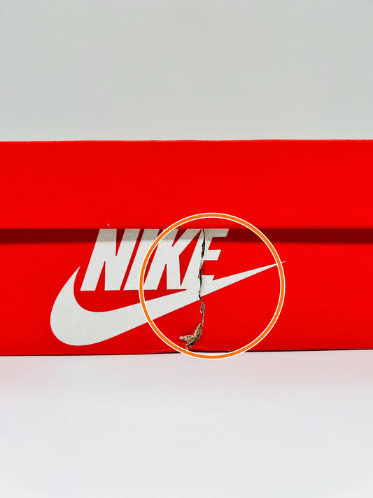 Nike Dunk Low Retro 'White/Light Smoke Grey' — Rescued #1
