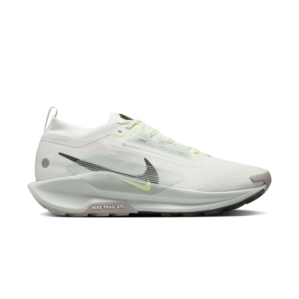 Nike Pegasus Trail 5 Gore Tex Summit White Light Silver College Grey Sequoia — Rescued #1