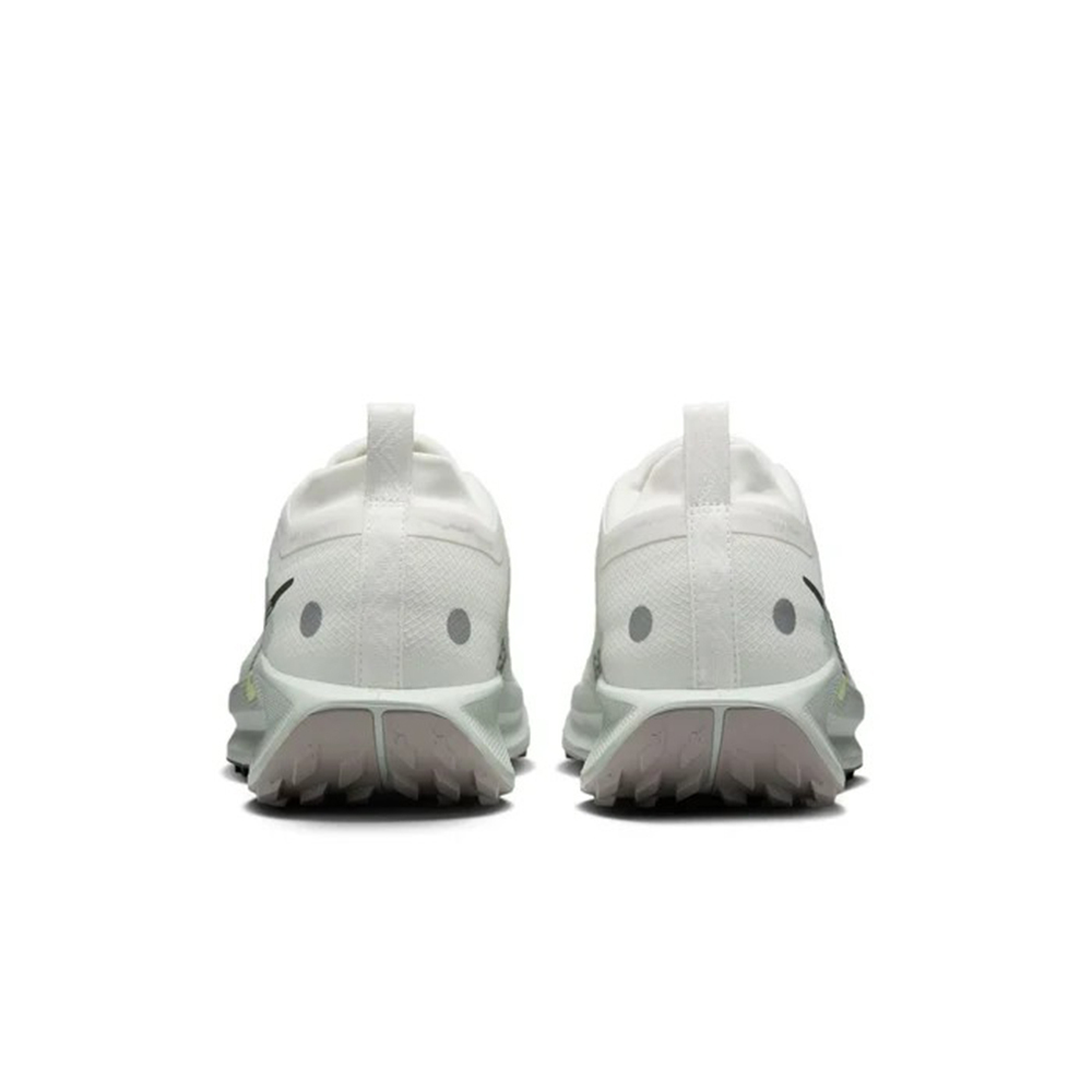 Nike Pegasus Trail 5 Gore Tex Summit White Light Silver College Grey Sequoia — Rescued #1