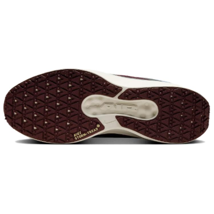 Nike Winflo 11 Gore Tex Light Pumice Dark Smoke Grey Burgundy Crush Ashen Slate — Rescued #1