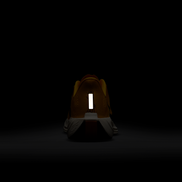 Nike ZoomX Pegasus Plus Modern Mayfly - View 10