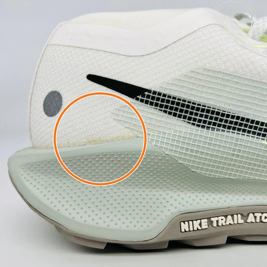 Nike Pegasus Trail 5 Gore Tex Summit White Light Silver College Grey Sequoia — Rescued #1